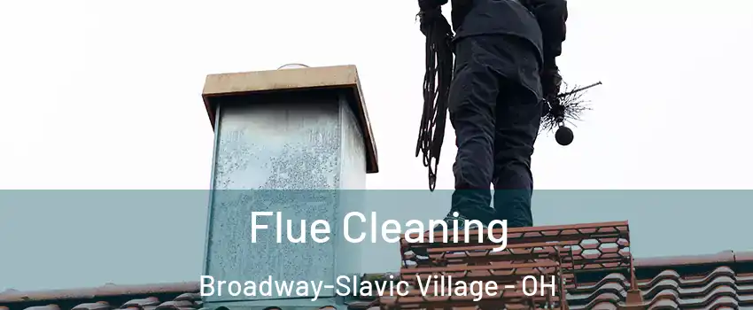 Flue Cleaning Broadway-Slavic Village - OH