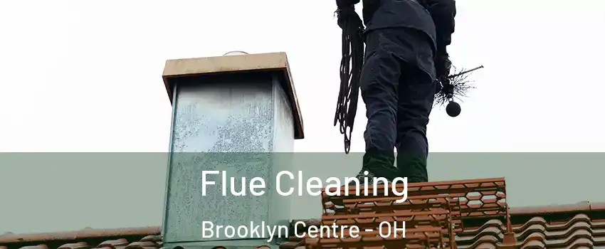 Flue Cleaning Brooklyn Centre - OH