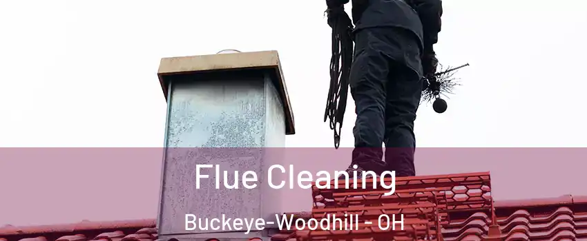 Flue Cleaning Buckeye-Woodhill - OH