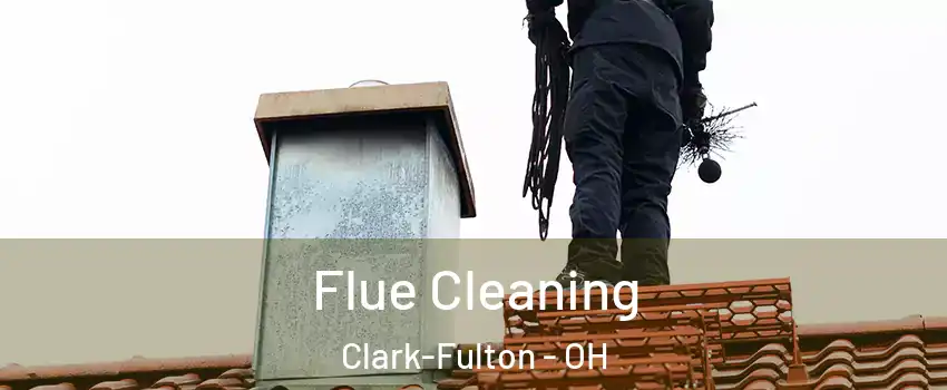 Flue Cleaning Clark-Fulton - OH