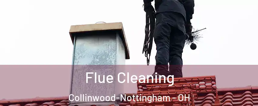 Flue Cleaning Collinwood-Nottingham - OH