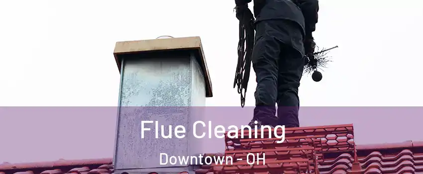 Flue Cleaning Downtown - OH