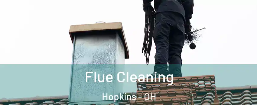 Flue Cleaning Hopkins - OH