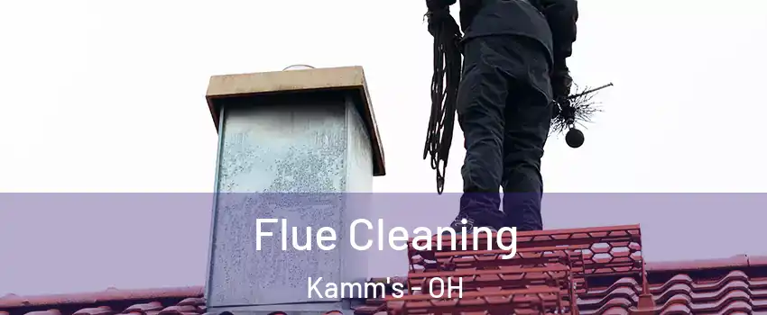 Flue Cleaning Kamm's - OH