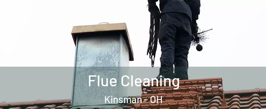 Flue Cleaning Kinsman - OH