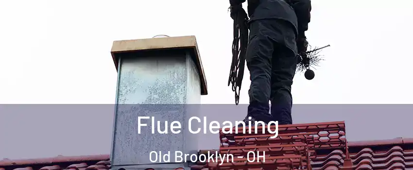 Flue Cleaning Old Brooklyn - OH