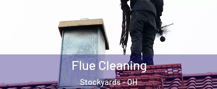 Flue Cleaning Stockyards - OH