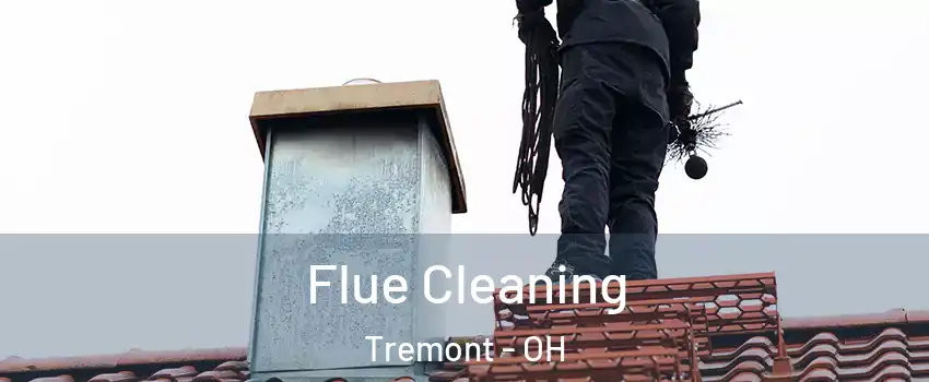 Flue Cleaning Tremont - OH