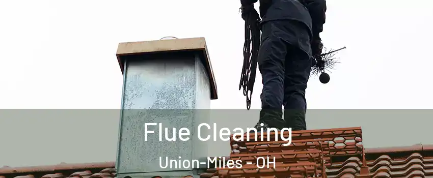 Flue Cleaning Union-Miles - OH