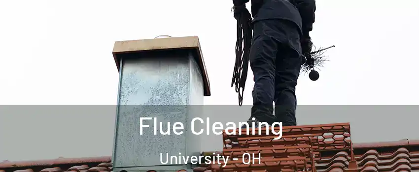 Flue Cleaning University - OH