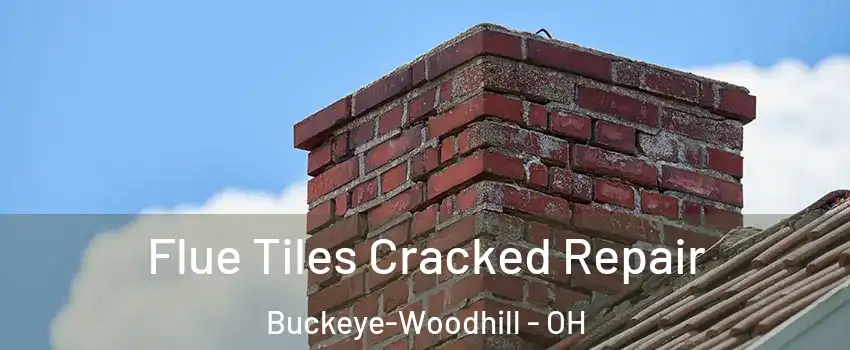 Flue Tiles Cracked Repair Buckeye-Woodhill - OH