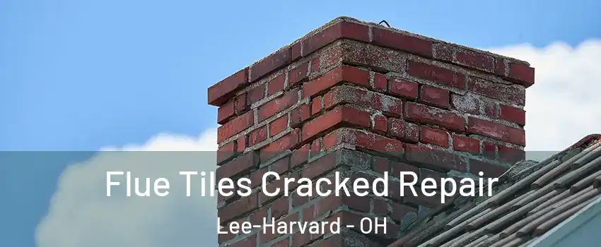Flue Tiles Cracked Repair Lee-Harvard - OH
