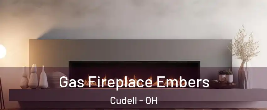 Gas Fireplace Embers Cudell - OH