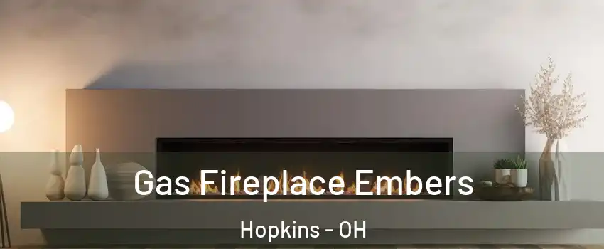 Gas Fireplace Embers Hopkins - OH