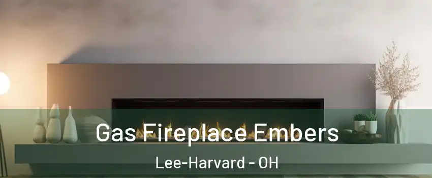 Gas Fireplace Embers Lee-Harvard - OH