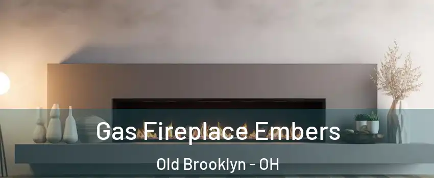 Gas Fireplace Embers Old Brooklyn - OH