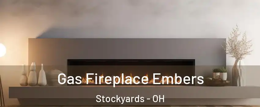 Gas Fireplace Embers Stockyards - OH