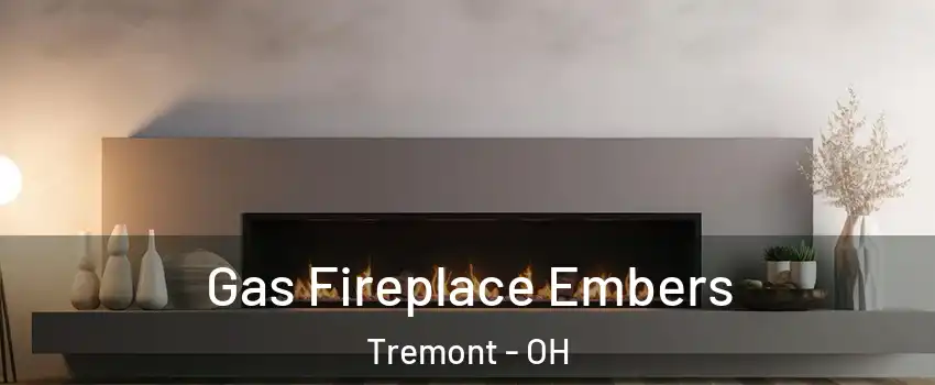 Gas Fireplace Embers Tremont - OH