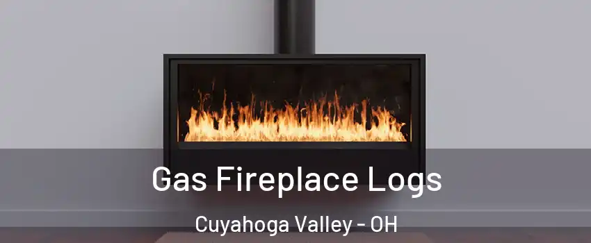 Gas Fireplace Logs Cuyahoga Valley - OH