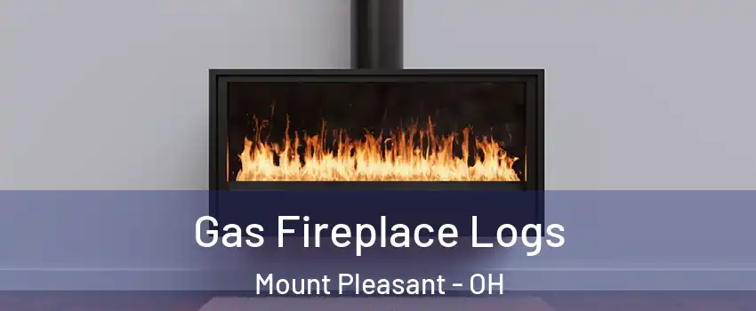 Gas Fireplace Logs Mount Pleasant - OH