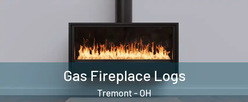 Gas Fireplace Logs Tremont - OH