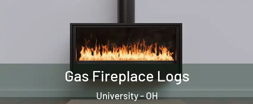 Gas Fireplace Logs University - OH