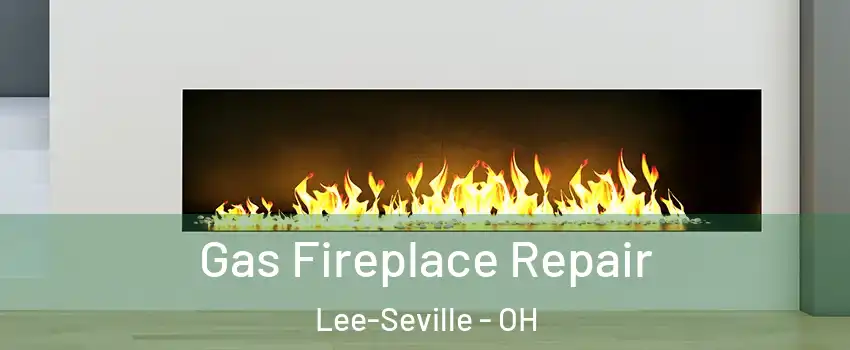 Gas Fireplace Repair Lee-Seville - OH