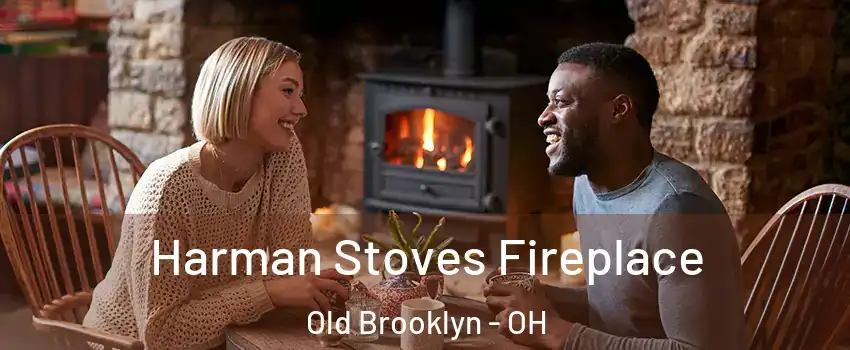 Harman Stoves Fireplace Old Brooklyn - OH