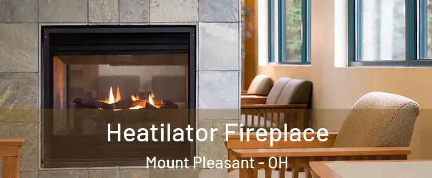 Heatilator Fireplace Mount Pleasant - OH