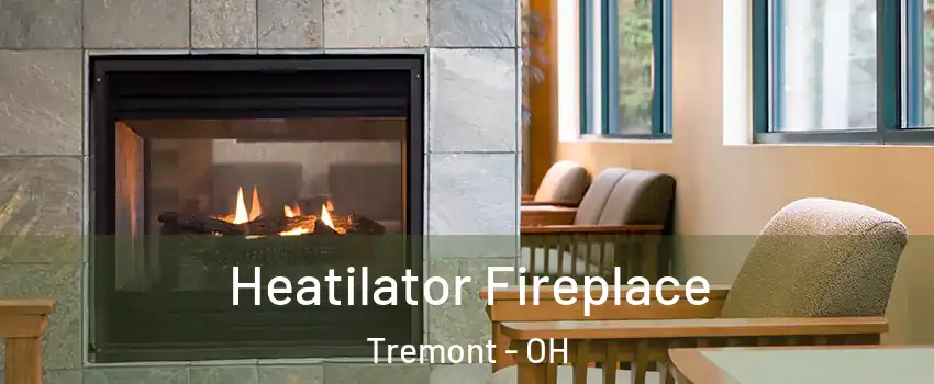 Heatilator Fireplace Tremont - OH