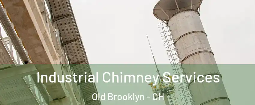 Industrial Chimney Services Old Brooklyn - OH