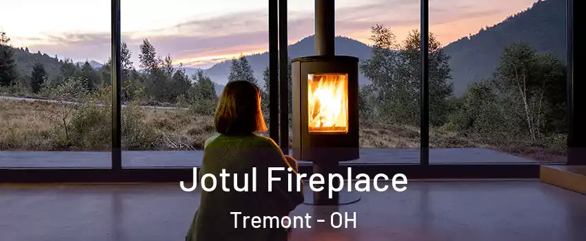 Jotul Fireplace Tremont - OH