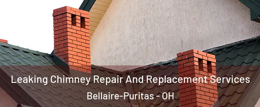 Leaking Chimney Repair And Replacement Services Bellaire-Puritas - OH