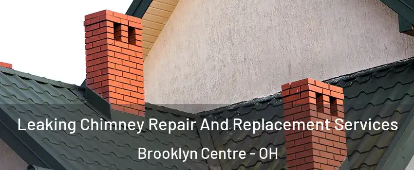 Leaking Chimney Repair And Replacement Services Brooklyn Centre - OH