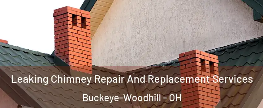 Leaking Chimney Repair And Replacement Services Buckeye-Woodhill - OH