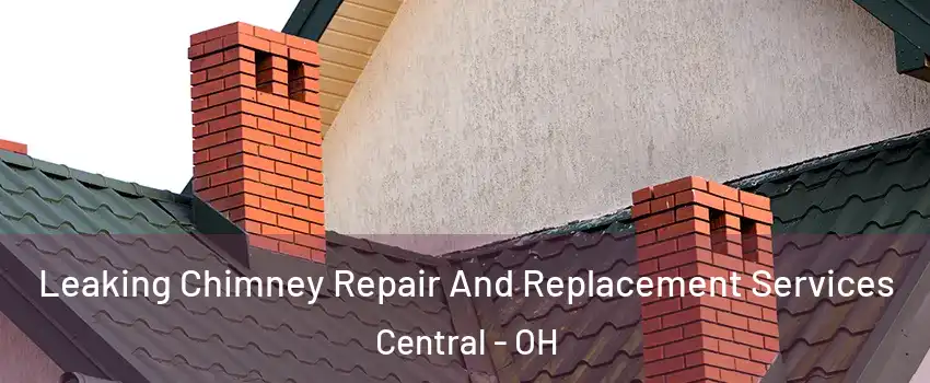 Leaking Chimney Repair And Replacement Services Central - OH
