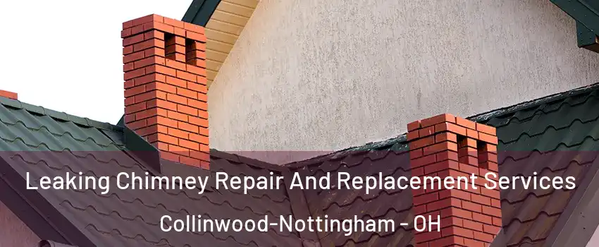 Leaking Chimney Repair And Replacement Services Collinwood-Nottingham - OH