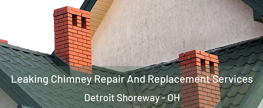 Leaking Chimney Repair And Replacement Services Detroit Shoreway - OH
