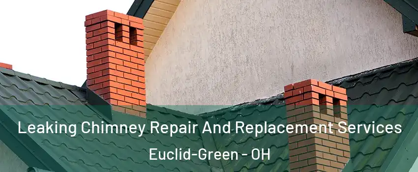 Leaking Chimney Repair And Replacement Services Euclid-Green - OH
