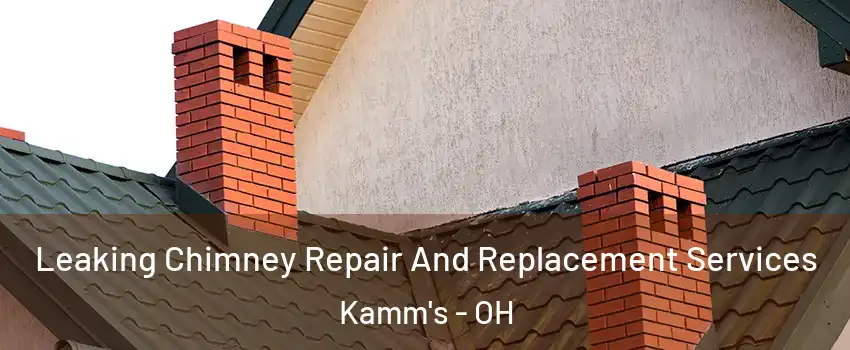 Leaking Chimney Repair And Replacement Services Kamm's - OH
