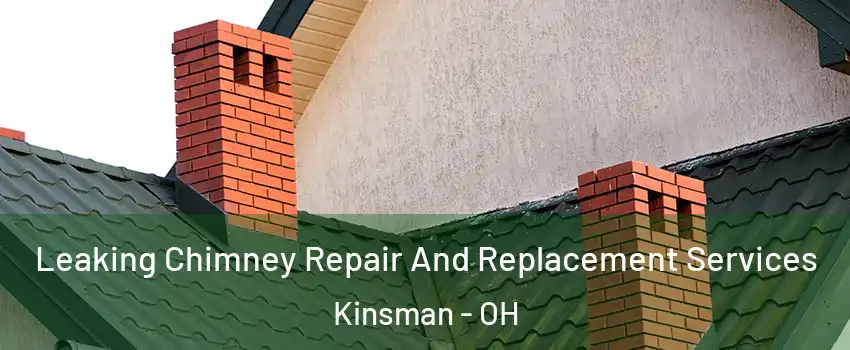 Leaking Chimney Repair And Replacement Services Kinsman - OH
