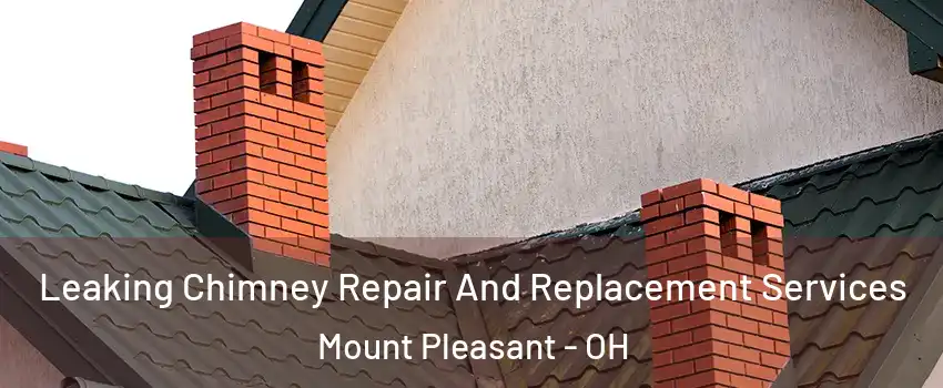 Leaking Chimney Repair And Replacement Services Mount Pleasant - OH