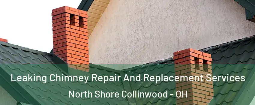 Leaking Chimney Repair And Replacement Services North Shore Collinwood - OH