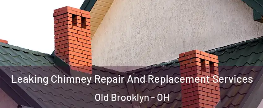 Leaking Chimney Repair And Replacement Services Old Brooklyn - OH