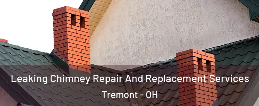 Leaking Chimney Repair And Replacement Services Tremont - OH