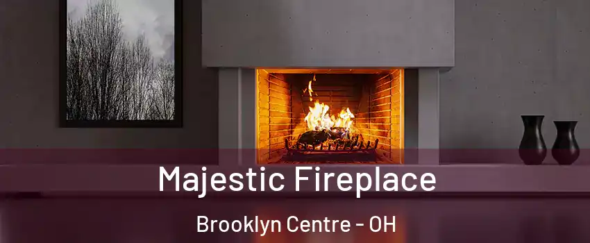 Majestic Fireplace Brooklyn Centre - OH
