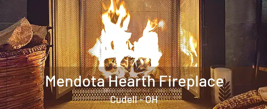 Mendota Hearth Fireplace Cudell - OH
