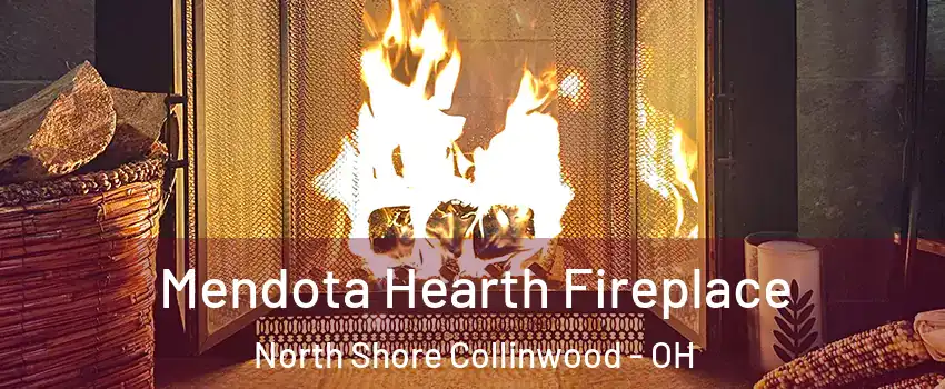 Mendota Hearth Fireplace North Shore Collinwood - OH
