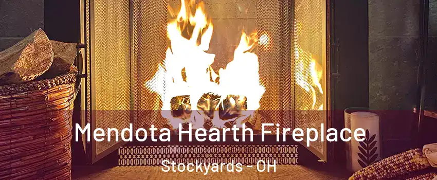 Mendota Hearth Fireplace Stockyards - OH