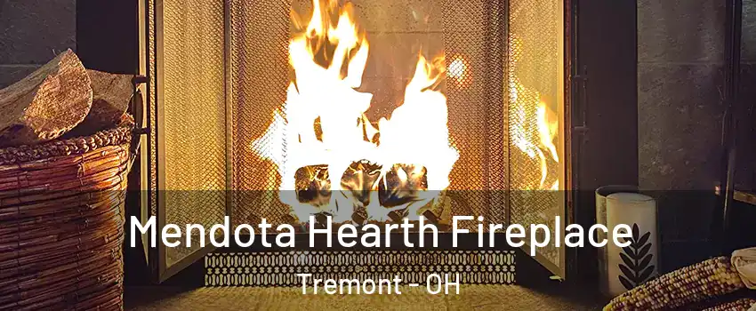 Mendota Hearth Fireplace Tremont - OH